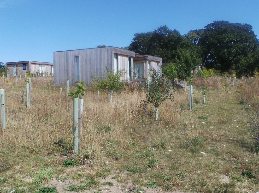 Fritton Lake - The Clubhouse主图