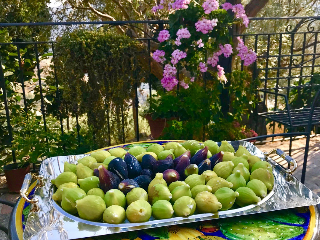 Agriturismo L'Uliveto主图