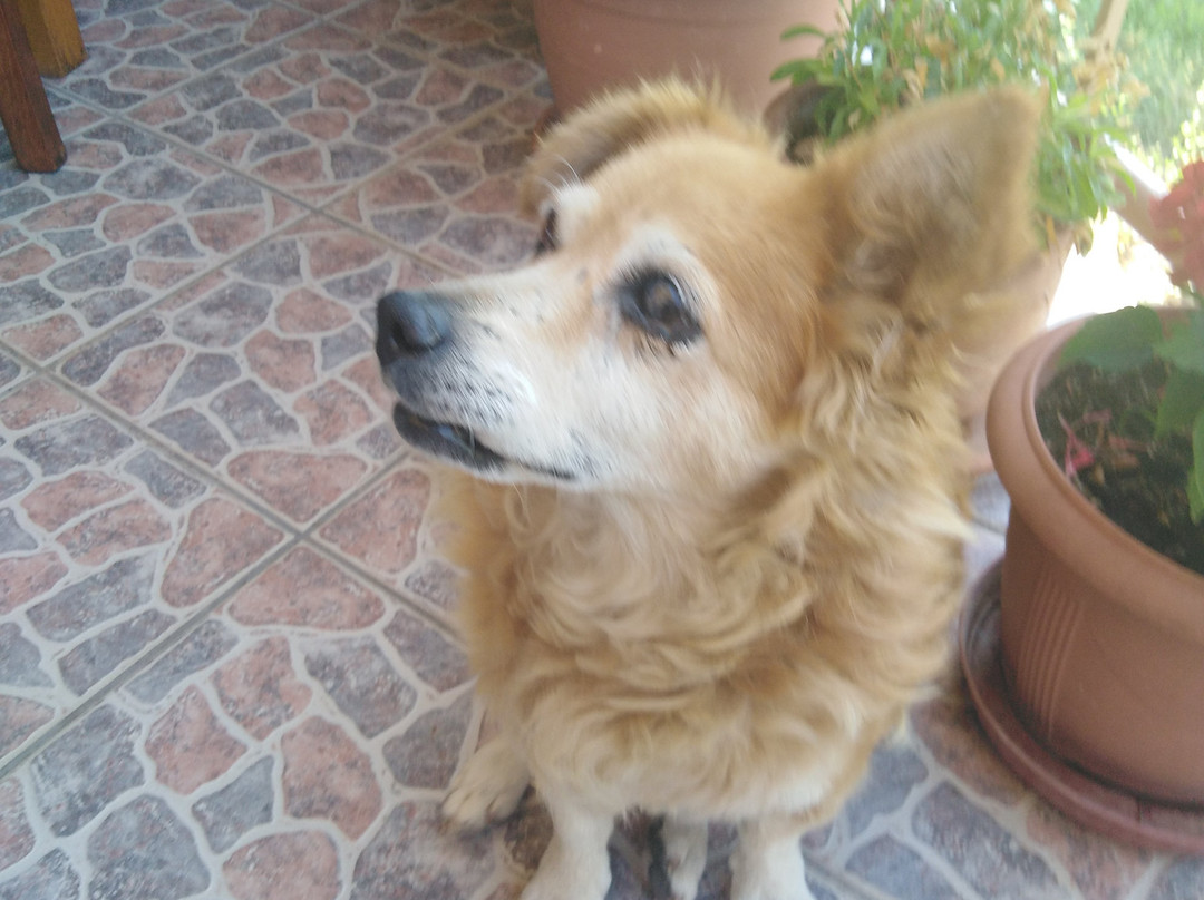 Ourania Studios主图