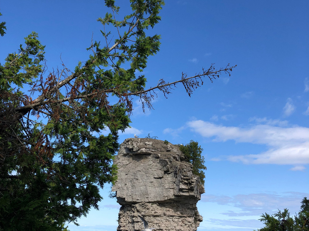 Flowerpot Island-托伯莫里必去景点
