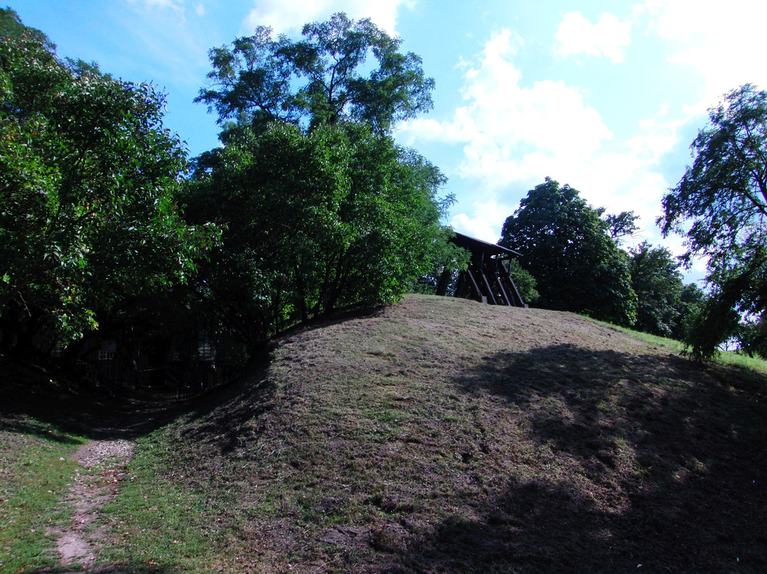 Archeological Reserve景点图片