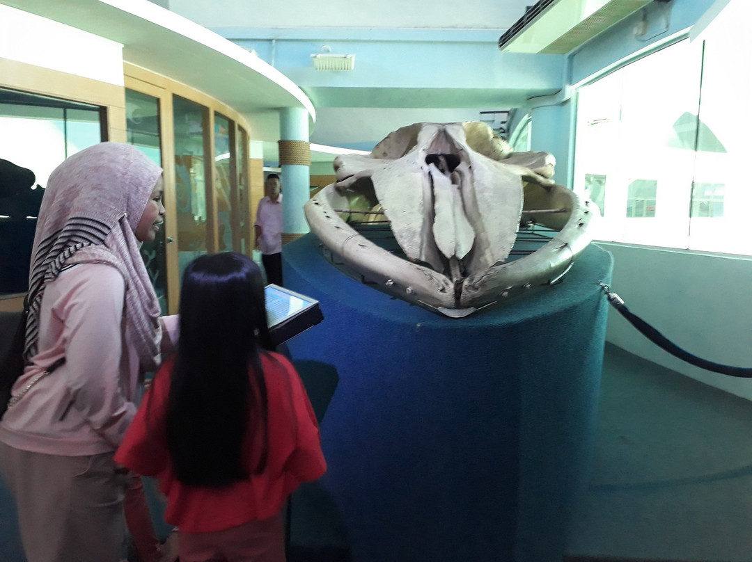 Labuan Marine Museum-纳闽必去景点