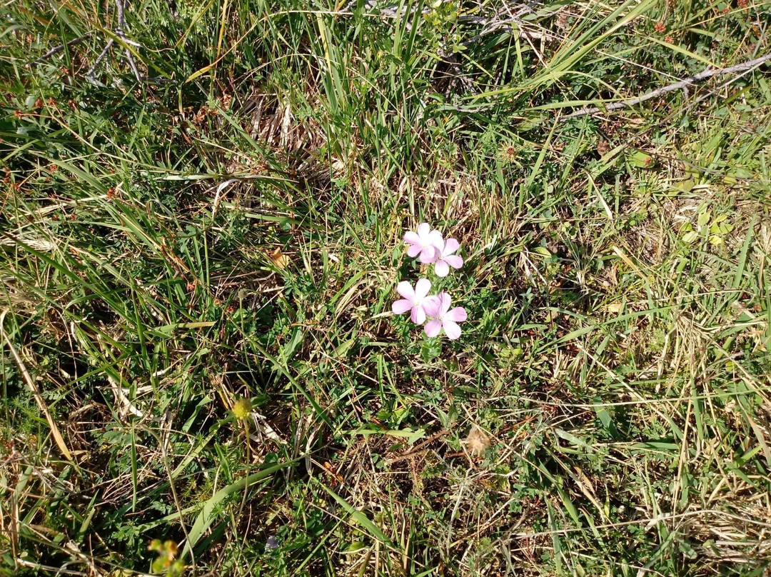 Riserva Naturale Lama Bianca-Roccacaramanico必去景点