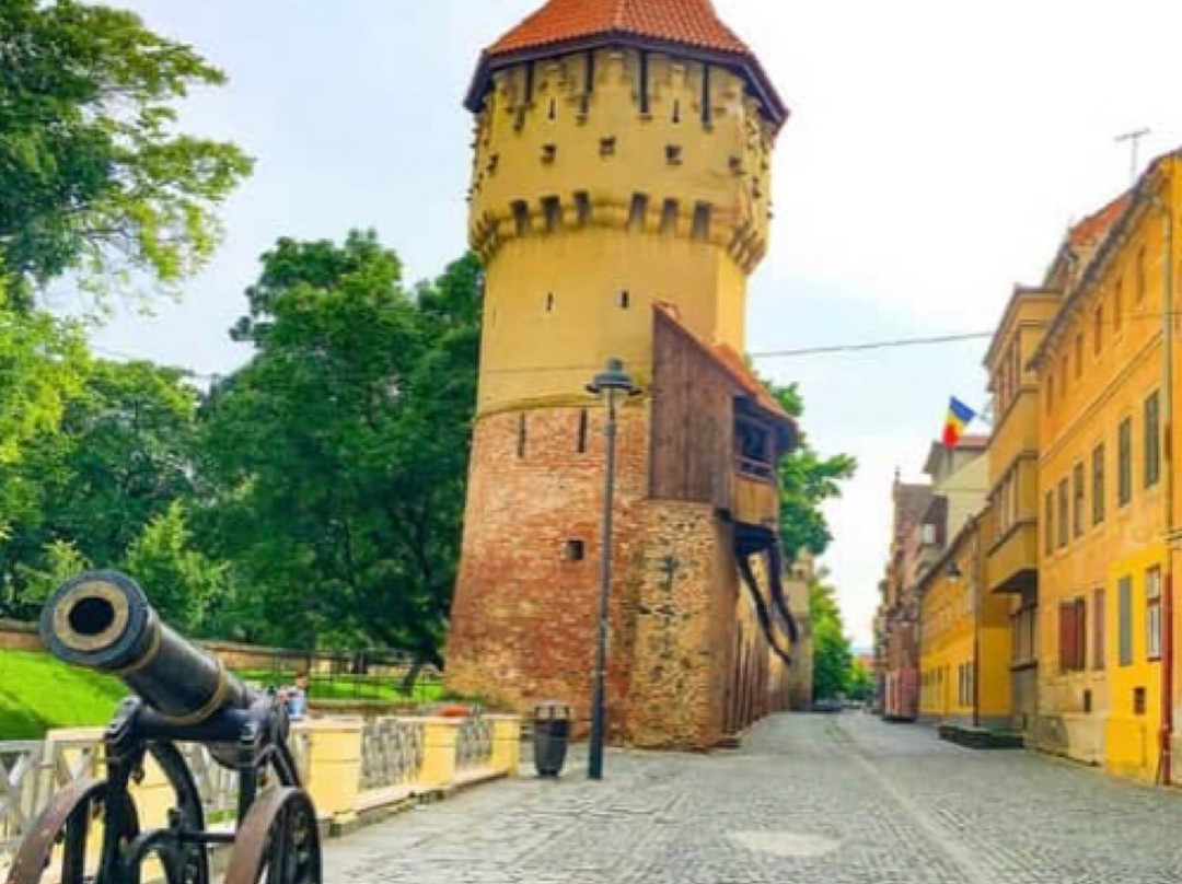 Sibiu Trips景点图片