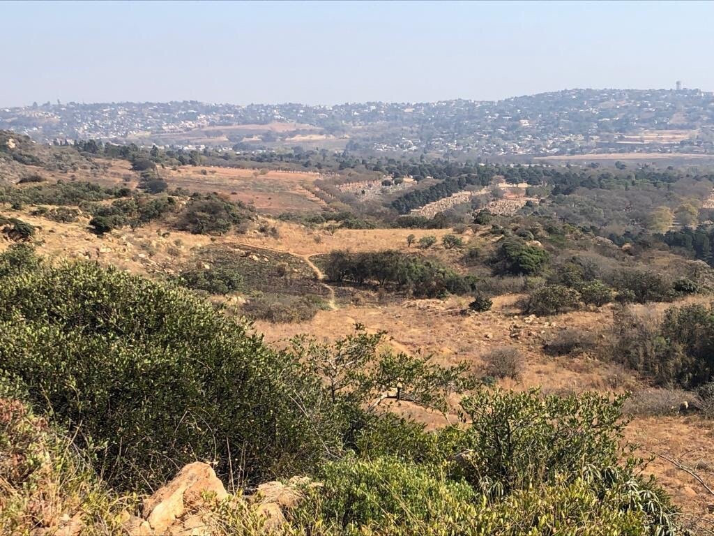 Melville Koppies Nature Reserve景点图片