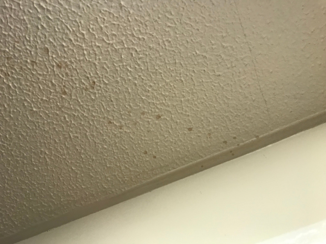 Travelodge Edinburgh Dreghorn主图