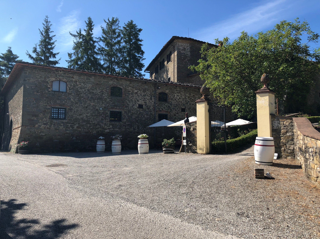 Cantina Castelvecchi in Chianti景点图片