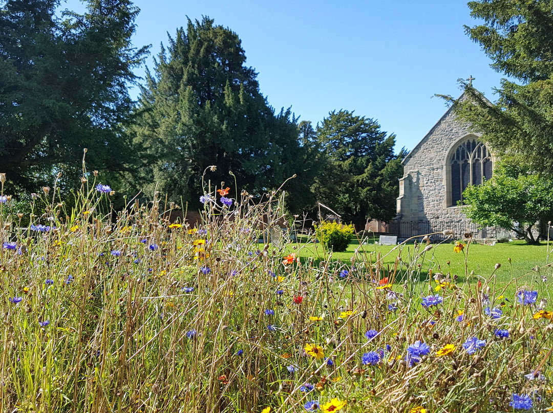 St. Mary's Church, Chirk景点图片