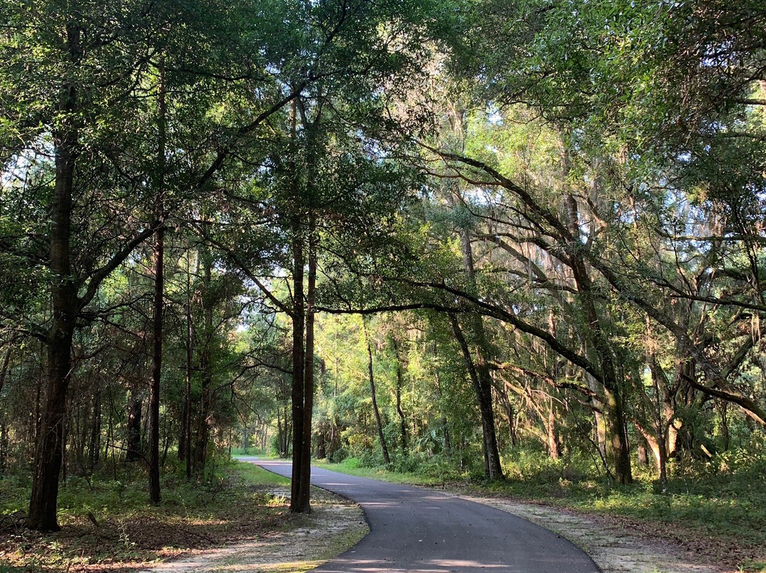 Silver Princess Motel主图