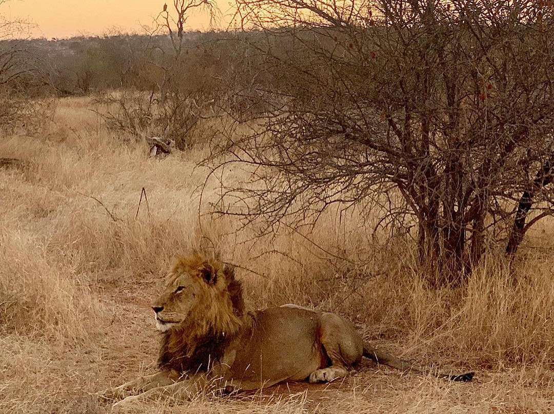 Ashanti Travel-开普敦中心区必去景点