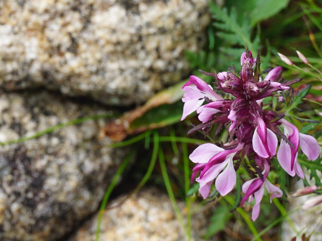 Mt. Kiso Komagatake-上松町必去景点