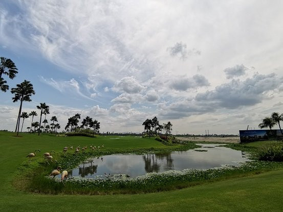 Forest City Golf Hotel主图