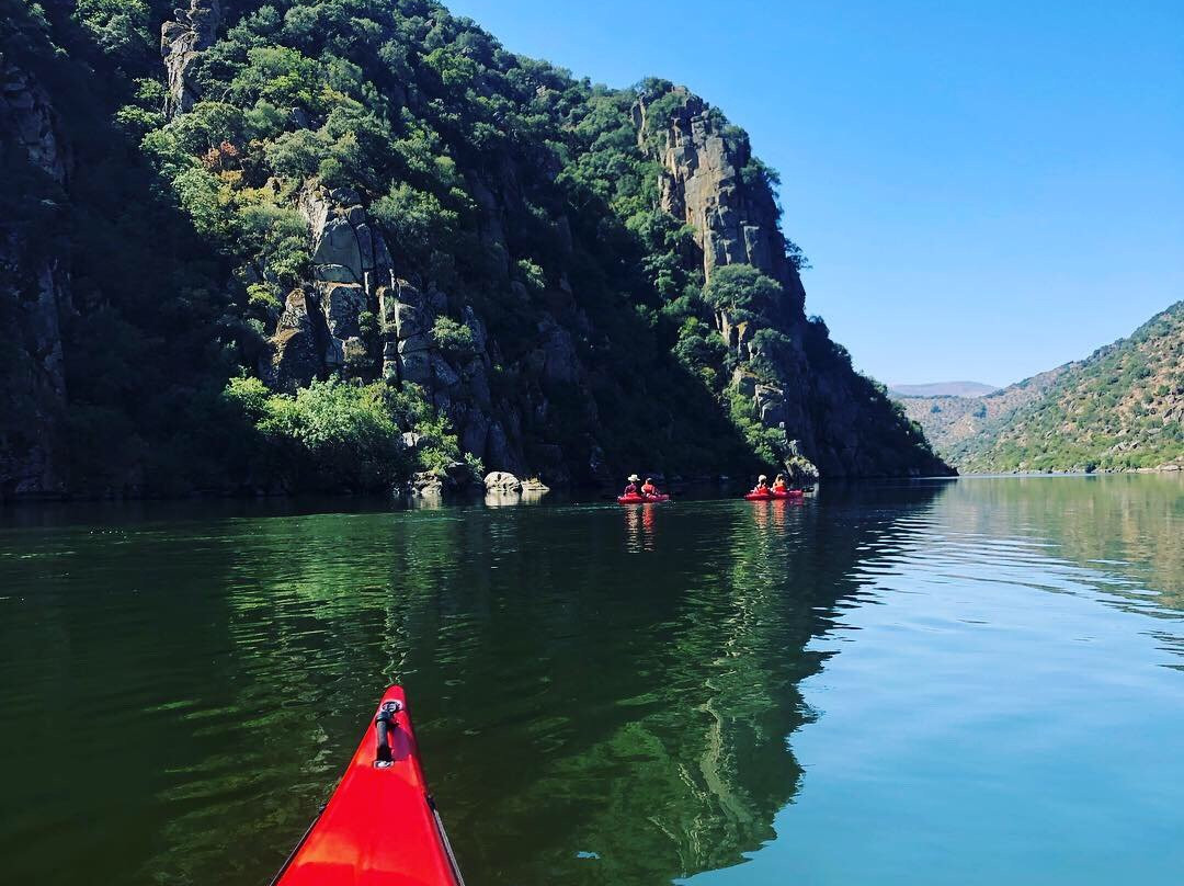 Portugal Kayak-阿威罗必去景点