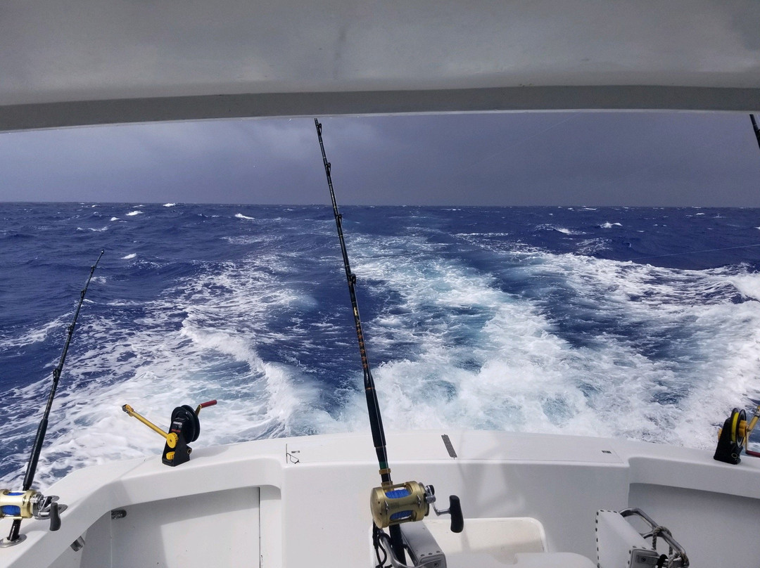 Reel Addiction Charter Fishing-Somerset Village必去景点