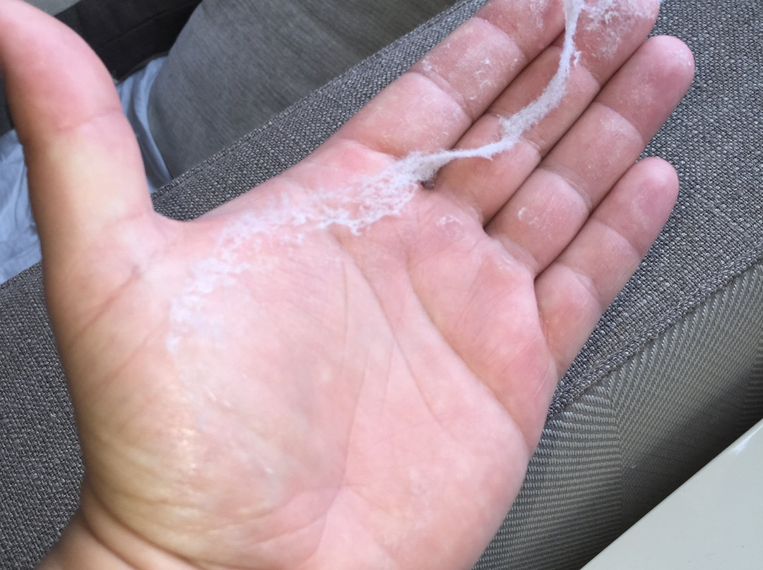 MarinaPlace Hotel主图