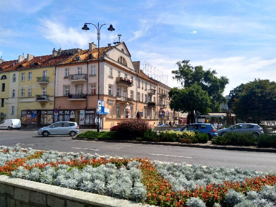 Niecała street景点图片