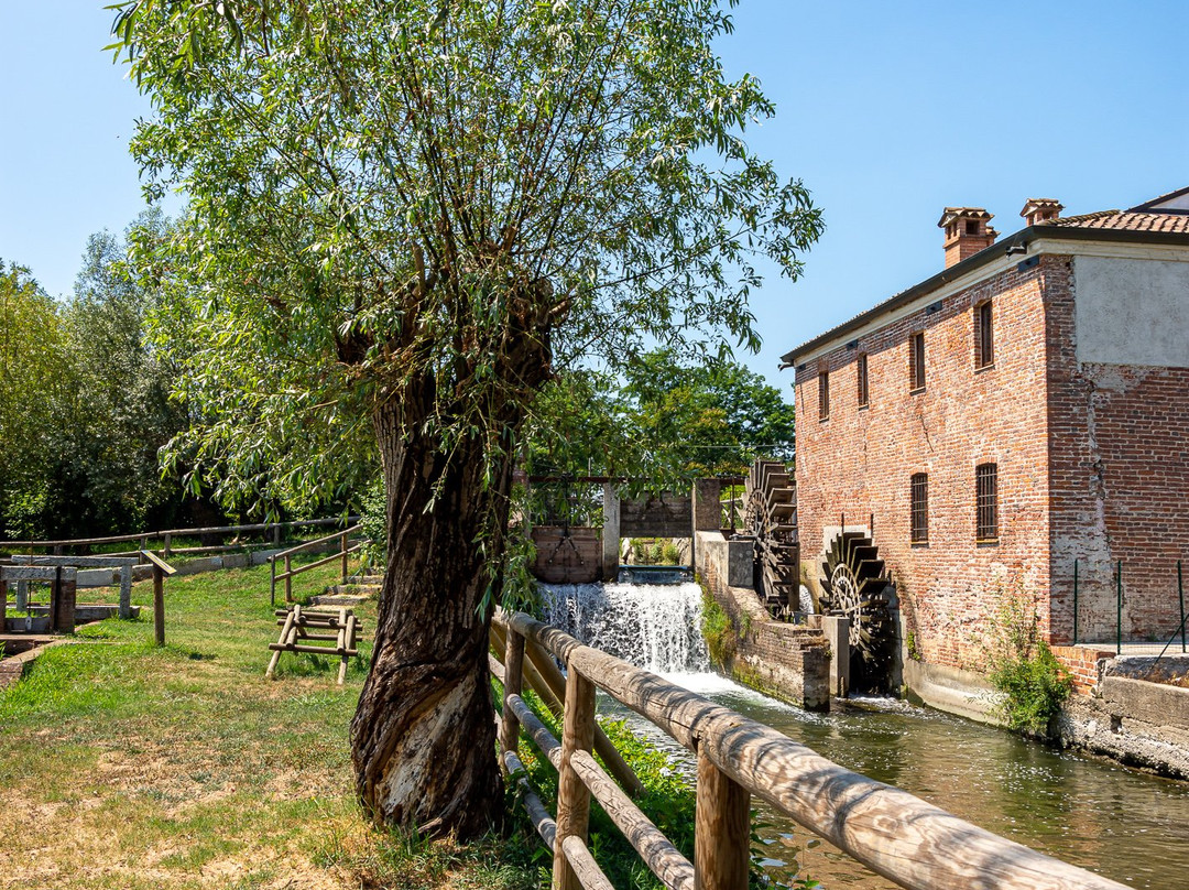Ecomuseo Mulino di Mora Bassa景点图片