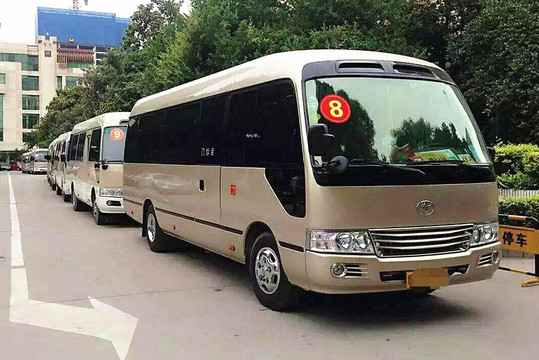 Elephant Tour-厦门市必去景点