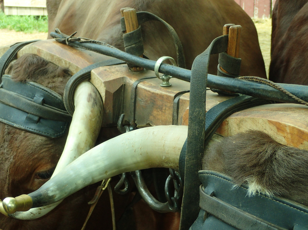 Ross Farm Museum-New Ross必去景点
