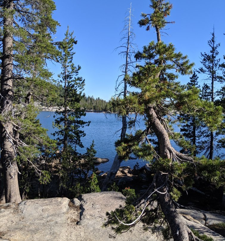 Lake Alpine景点图片