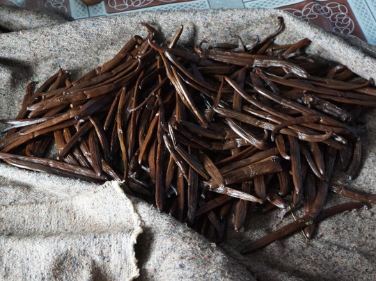 Nadège Rinot-桑巴瓦必去景点