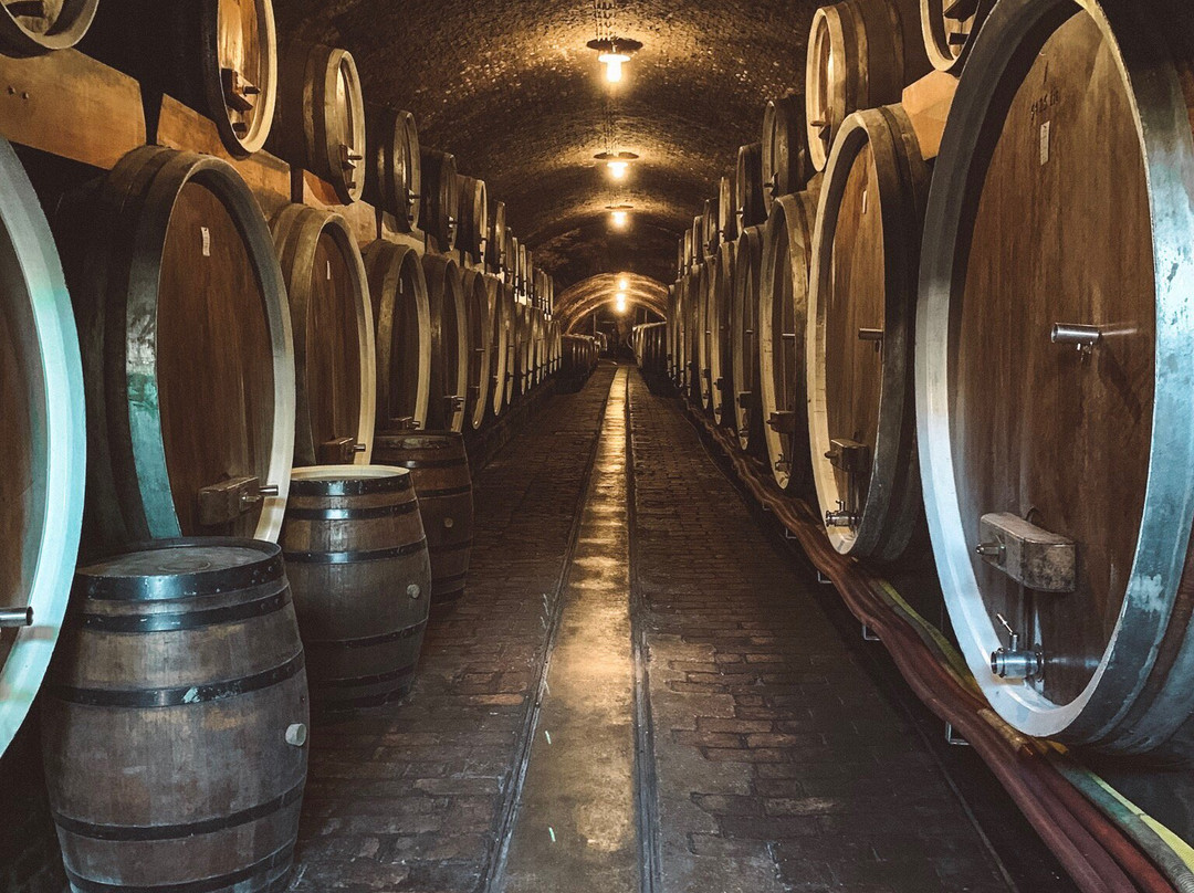 Old Wine Cellars景点图片
