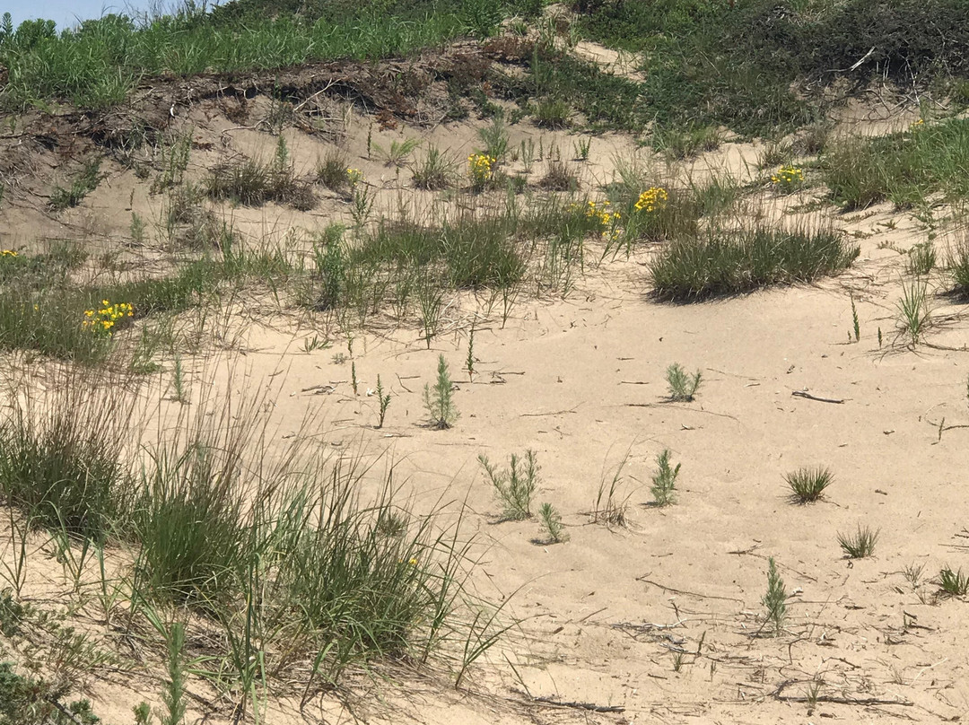 Illinois Beach State Park-Zion必去景点