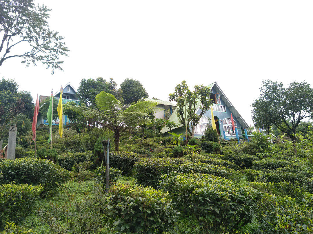 Jhandi Eco Heights主图