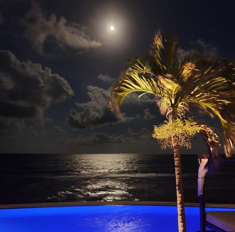 Senses Riviera Maya by Artisan主图