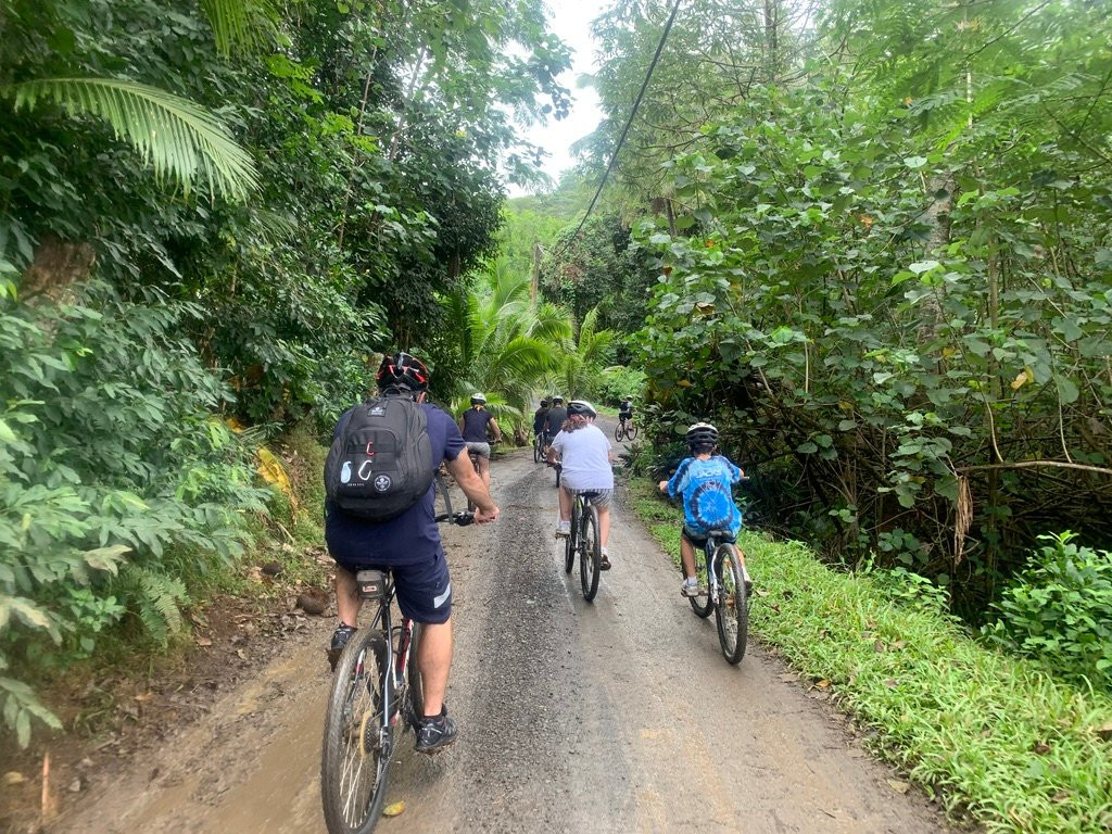 Storytellers Eco Cycle Tours-拉罗汤加必去景点