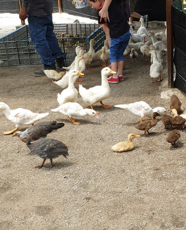 Aves World Broga-Semenyih必去景点