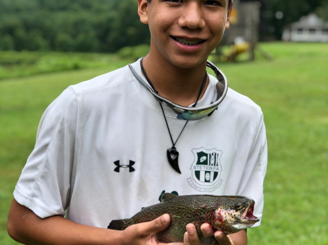 Andy's Trout Farm景点图片
