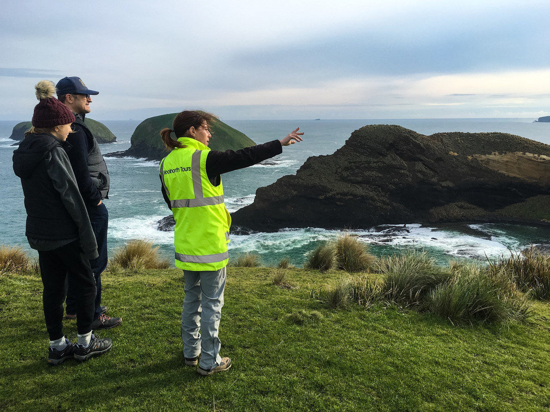 Woolnorth Tours-Woolnorth必去景点