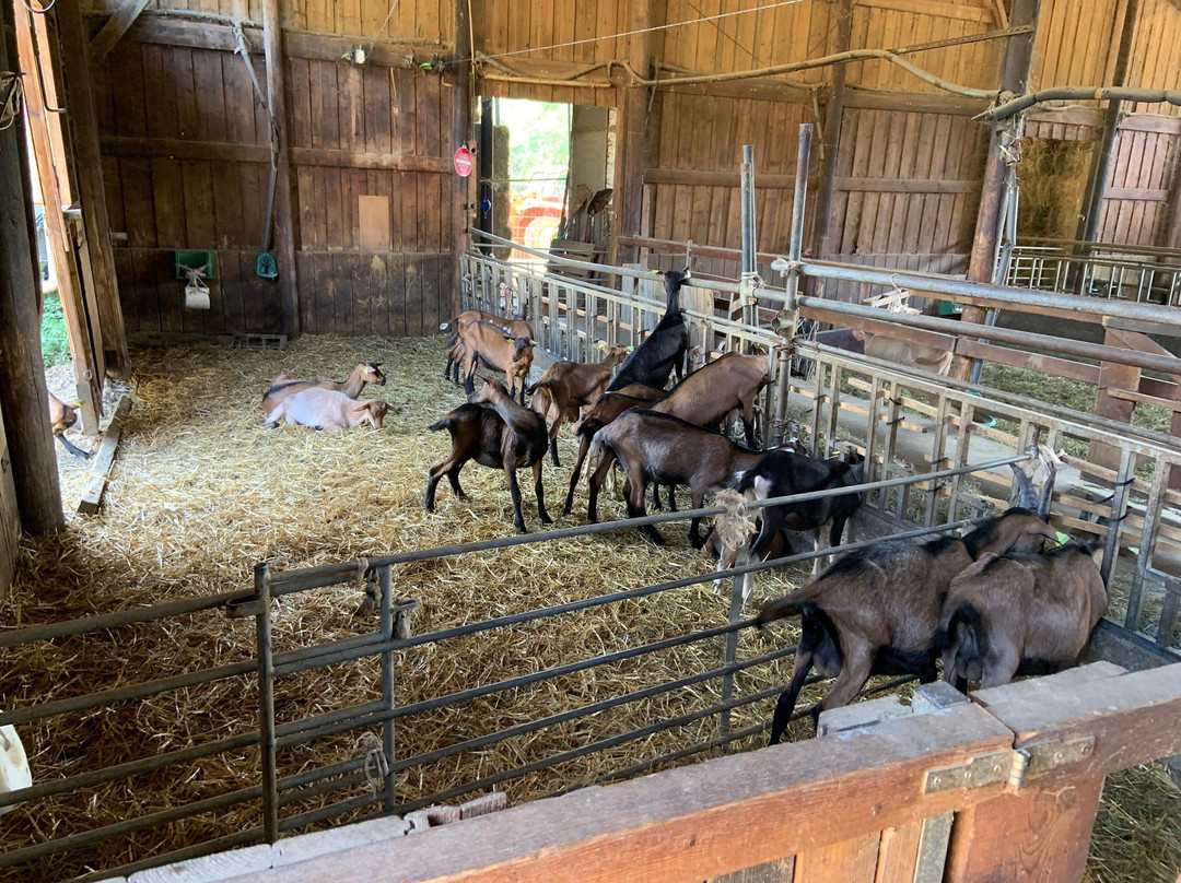 La Pastourelle-Chateaudouble必去景点