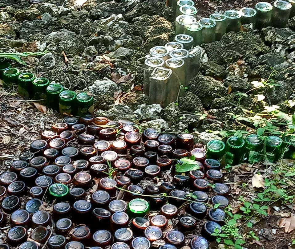 Local Ocean Conservation-瓦塔木必去景点