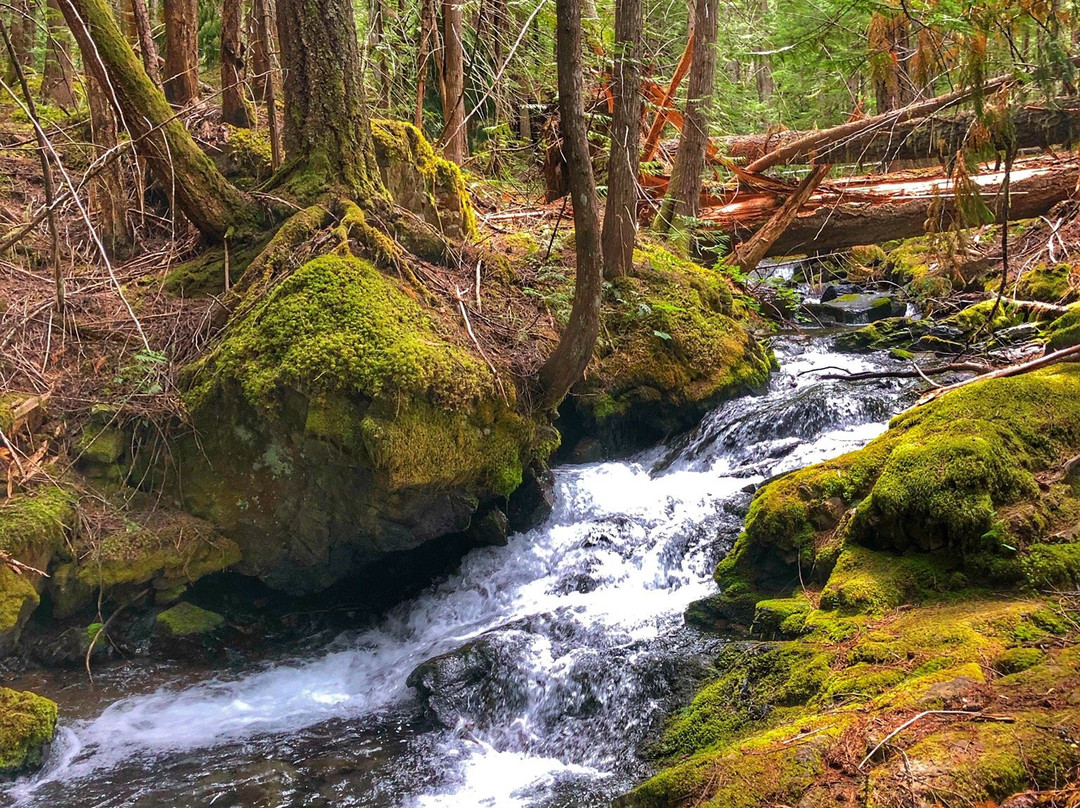 Skagit Valley Provincial Park-霍普必去景点