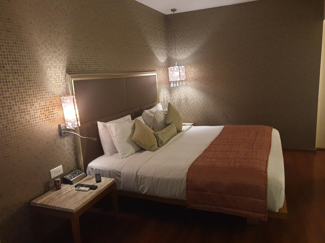 7 Apple Hotel Pimpri Pune主图
