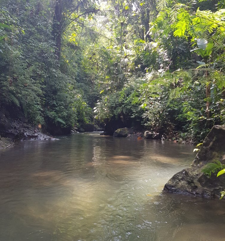 巴厘岛生态探险及度假中心主图