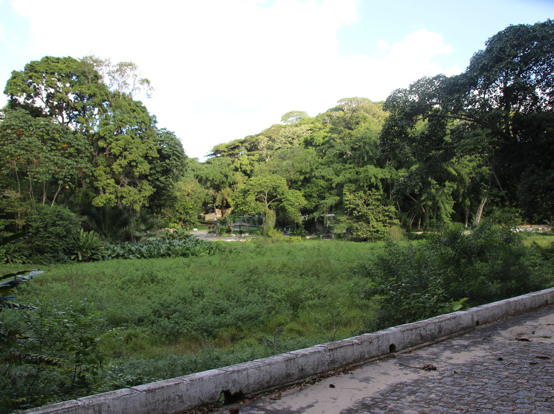 Parque Estadual de Dois Irmãos景点图片