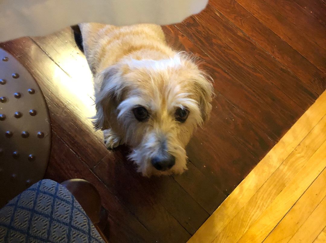 Pelham House Bed & Breakfast主图