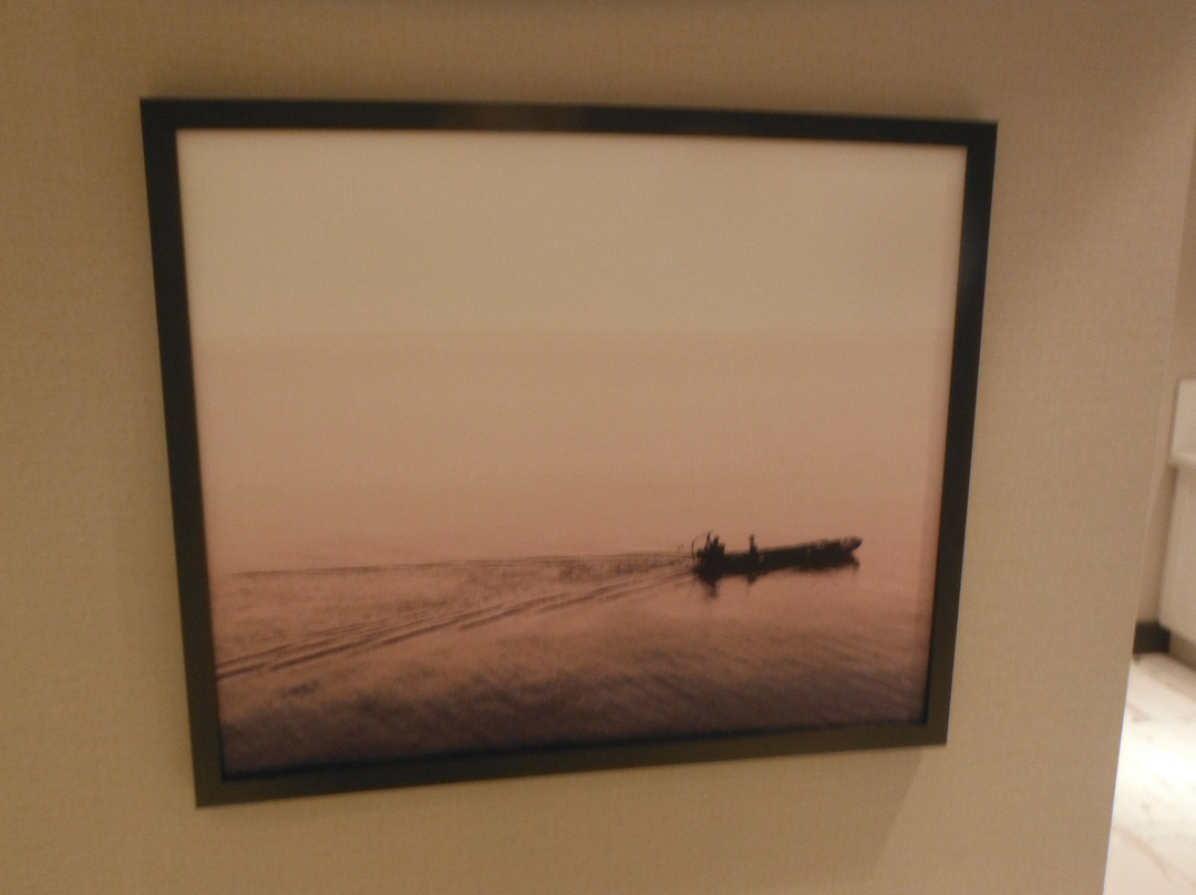 Hyatt Place Mount Pleasant Towne Centre主图