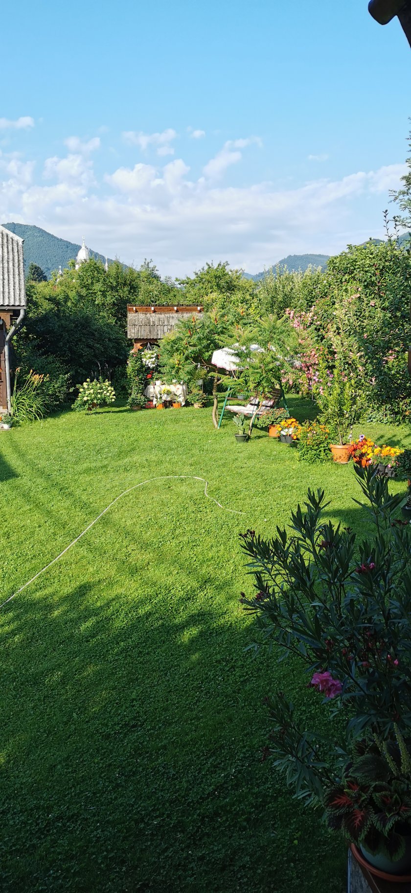 Agriturismo Petreus Irina-官方