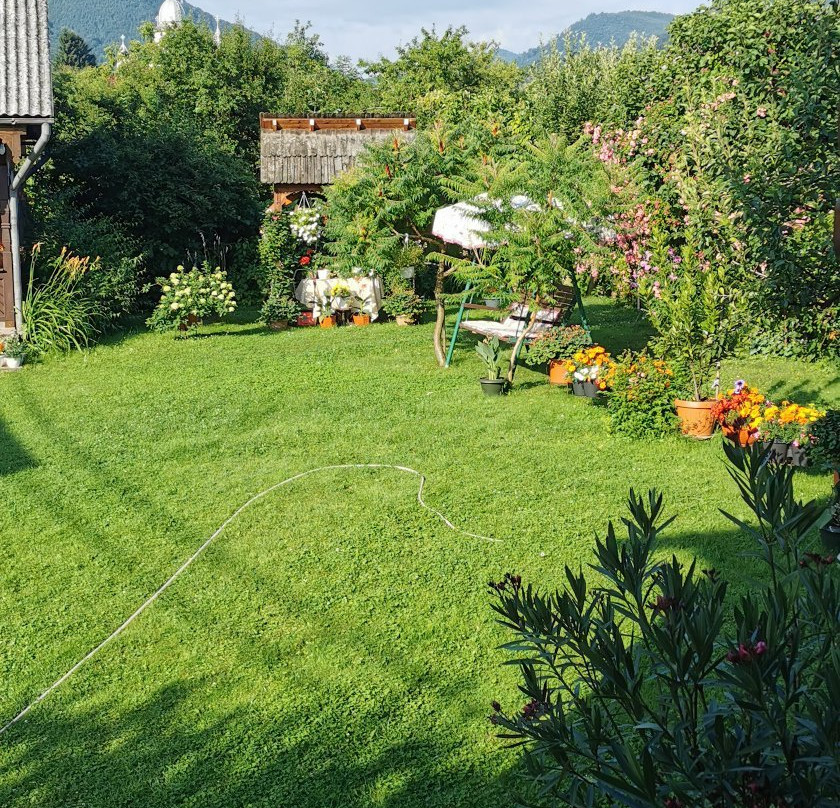 Agriturismo Petreus Irina主图