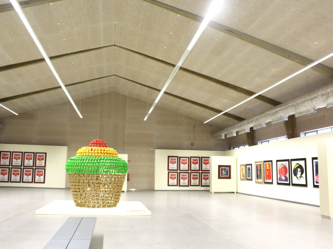 Museu Bienal de Cerveira景点图片