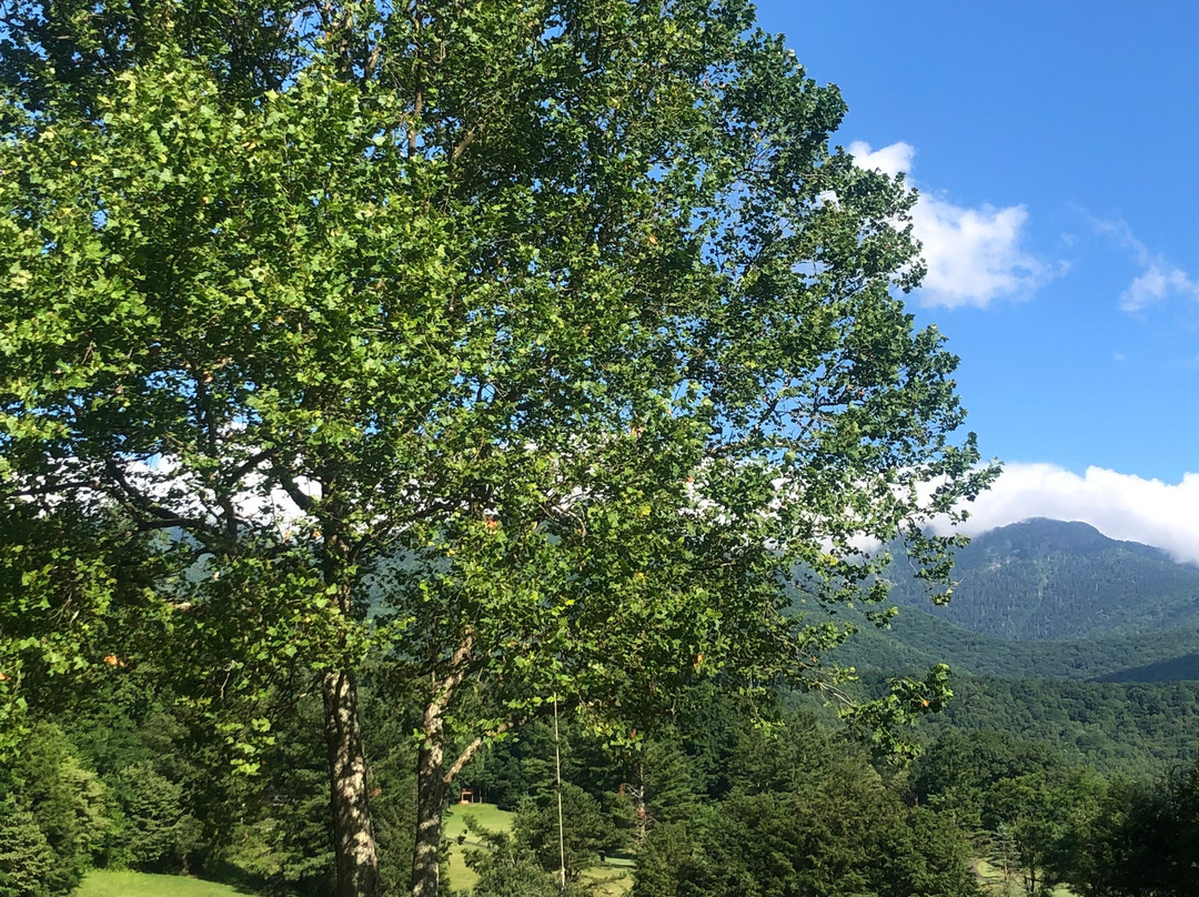 The Lodge At Mount Mitchell主图