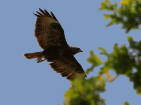 Marais du Grand Hazé-Briouze必去景点