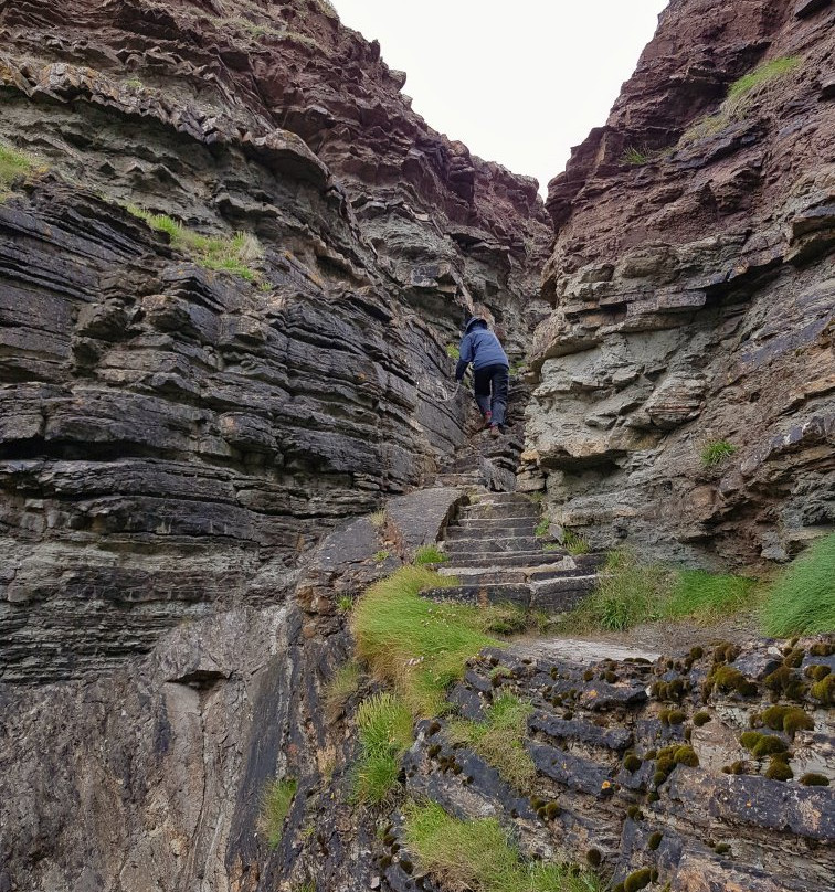 Mull Head Nature Reserve景点图片