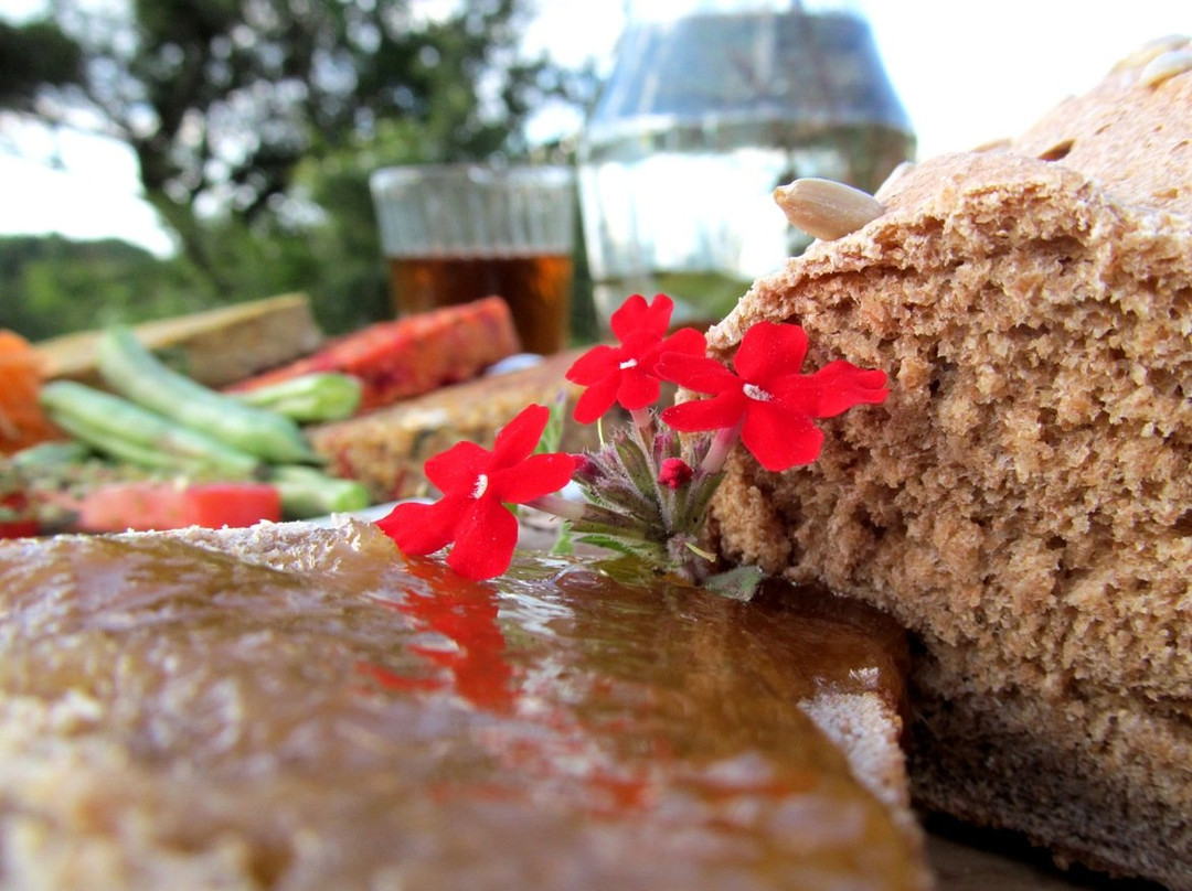 ANTARKARANA, Centro Holístico-Hostel