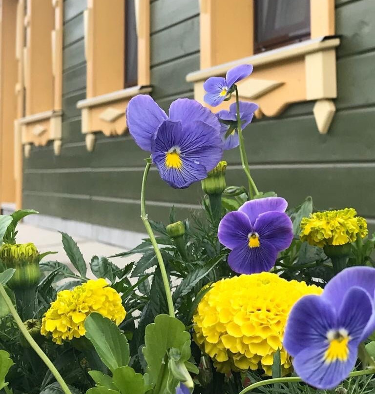 Yellow Stars Inn Mini-Hotel