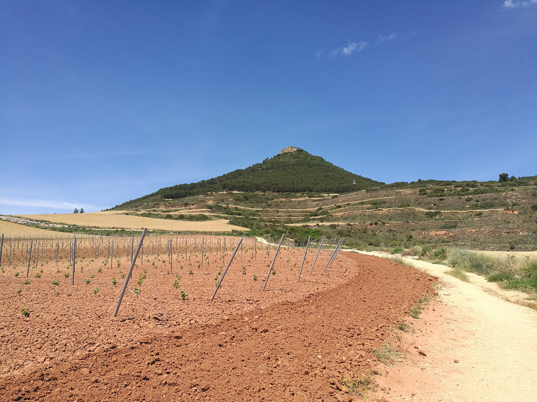 Castillo de San Esteban de Deyo-Villamayor de Monjardin必去景点